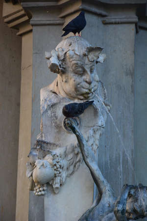 Arrayのeditorial素材