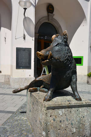 Sculpture of a wild boar in the center of Sibiu, Romania.の写真素材