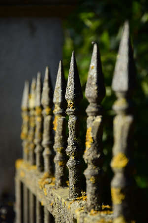 Old iron fence with yellow lichen on it. Selective focus.の写真素材