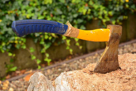 Axe with blue handle stuck in a tree trunk in the gardenの写真素材