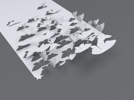 Butterfly flying out of a white paper の写真素材