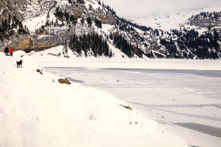 Couple walking with their dog beside a frozen lake in a snowy mountain landscape on a cloudy day in Switzerlandの写真素材