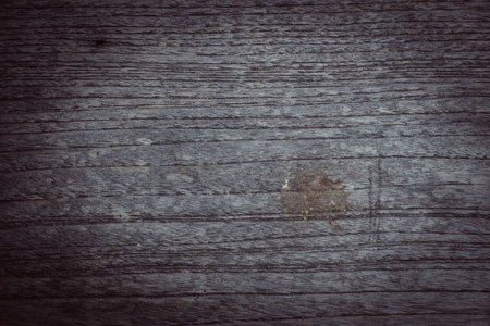 wood texture background.の写真素材