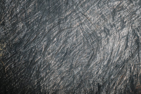 wood texture background.の写真素材