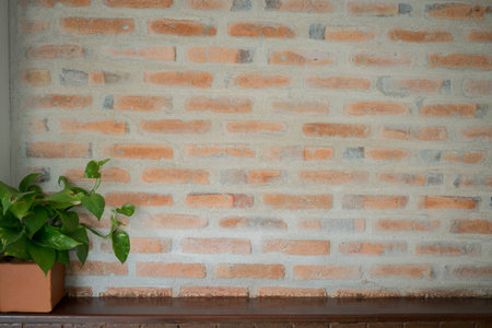 old brick wall texture background and plant.の写真素材