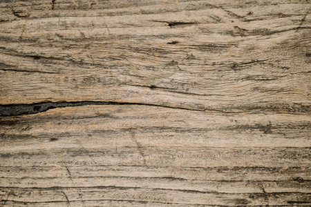 wood texture background.の写真素材