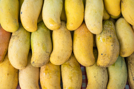 Close up mango in market like delicious, popular fruit in thailand.の写真素材