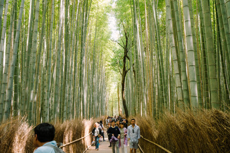 KYOTO, JAPAN - APRIL 3, 2023 : Crowd under the Bamboo Groove at Arashiyama, Kyoto, Japanのeditorial素材