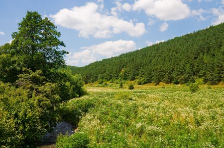 Countryside in Ukraine
