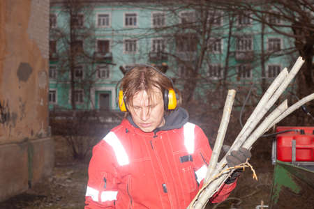 tree maintenance specialist. Tree Surgeon