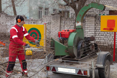 tree surgeon. tree maintenance specialist.