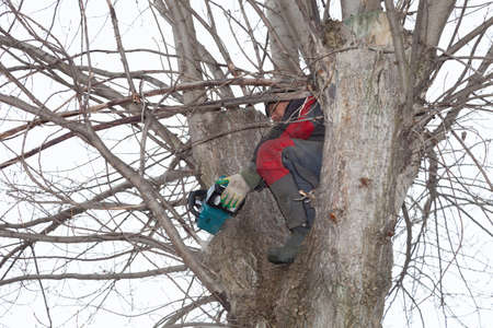 A man cut down an emergency tree with a chainsaw.