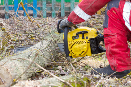 A man is working with a chainsaw. sawing trees.の写真素材