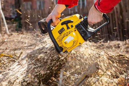 In the hands of a lumberjack chainsaw. Tree Surgeonの写真素材