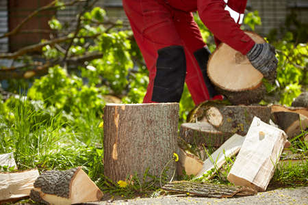 logger. chopwood. Chop wood on a sunny summer day. logger.