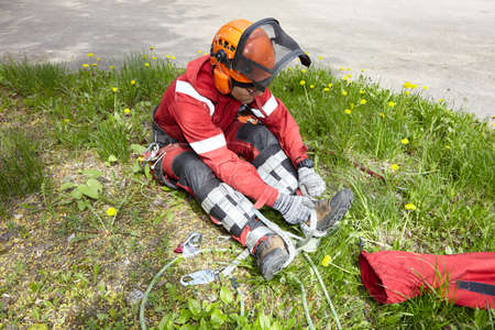 A tree surgeon hangs ropes in the crown of a tree using a chainsaw to cut branches. An adult male...
