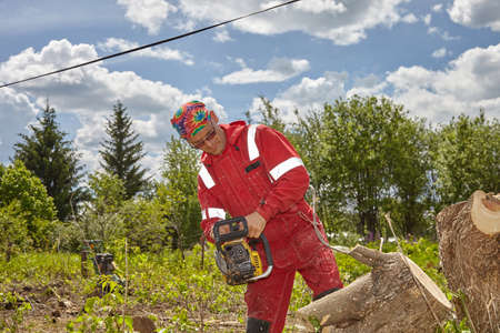 A man saws a tree with a chainsaw. A worker in a red suit is working with a chainsaw.の写真素材