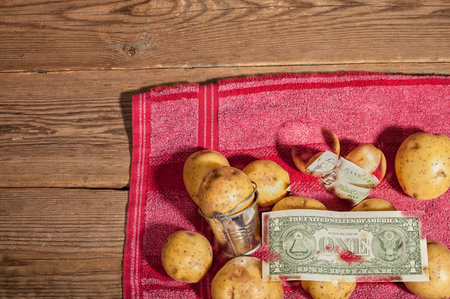 Potatoes and one dollar. Vegetables and a dollar. Potatoes are lying on a wooden table and a US dollar.の写真素材