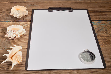 A shell on a wooden table. Seashells on wooden boards.の写真素材
