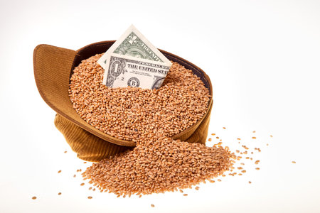 Grain and hat on a white background. Wheat in a cap and money. grain and finance.の写真素材