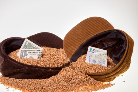 Grain and hat on a white background. Wheat in a cap and money. grain and finance.の写真素材