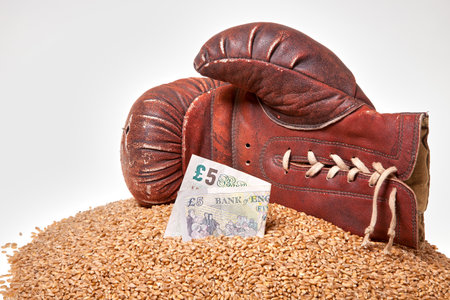A boxing glove and money and grain. Wheat on a white background and a glove.の写真素材