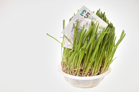 Fresh grass and money allocated on white