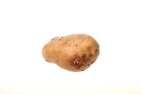 Potatoes on a white background. Raw potatoes on a gray background.の写真素材