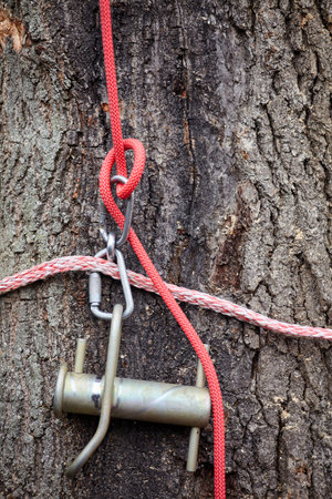 Braking device for lowering large branches. Tree Surgeon. Professional removal of emergency trees.