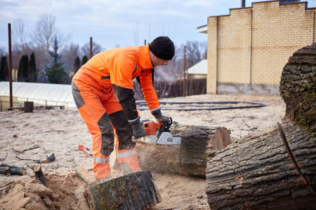 Tools and equipment. tree surgeon. Removal of the emergency Oak tree.