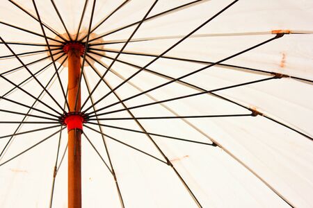 white umbrellaの写真素材