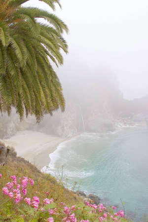 A redwood forrest hiking path leads to a small waterfalls on a wet foggy morning in a State Park.の写真素材