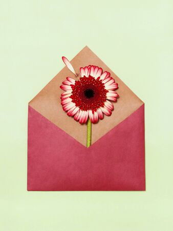 Hand Made envelope with flowers.beauty still lifeの写真素材
