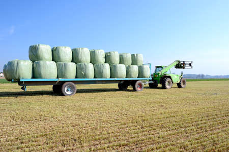 Normandy, France, May 2013.
Loading of wrapped bales of ray grass with a telescopic handler on a agricultural trailerのeditorial素材