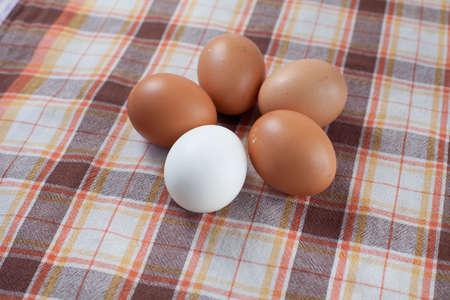 One white and group of brown eggs lay on a tablecloth in shape of round or flower