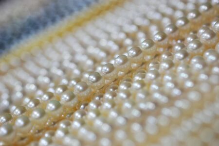 strands of colorful fresh water pearlsの写真素材