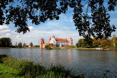 Ancient Mir Castle textured wallのeditorial素材