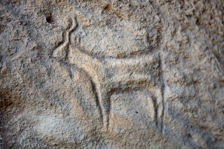 Prehistorical petroglyphs in Qobustan, Azerbaijan. Qobustan petroglyphs are listed by UNESCO as World Heritage.の写真素材