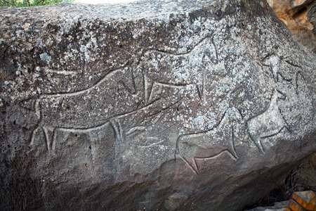 Prehistorical petroglyphs in Qobustan, Azerbaijan. Qobustan petroglyphs are listed by UNESCO as World Heritage.の写真素材