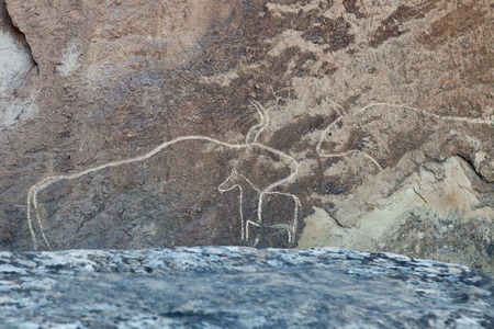 Prehistorical petroglyphs in Qobustan, Azerbaijan. Qobustan petroglyphs are listed by UNESCO as World Heritage.の写真素材