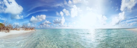Scenic panorama view of Wild idyllic Beach at Maldives island Fulhadhoo with white sandy beach and sea and curve palmの写真素材