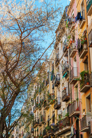Barcelona, Spain - April 19, 2016: Medieval buildings in the Gothic and Born distric, narrow streetのeditorial素材