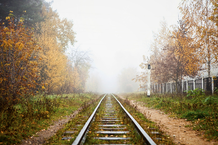 Abandoned railway in the fog going to perspective, golden leaves of the forest in the autumn, Minsk children's toy railwayの写真素材