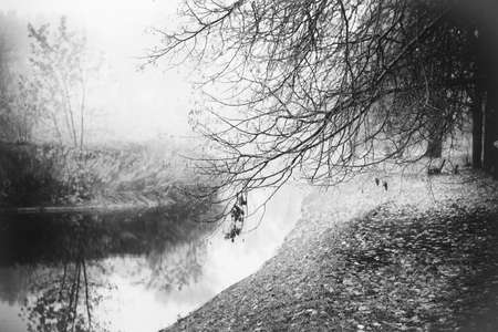 Misty fog forest on the sunrise morning in the autumn folliage in park by the riverの写真素材