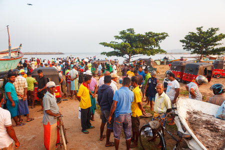 Beruwala, Sri Lanka - 10 February, 2017: Group of sellers and customers bargain fresh catched salmon at fish market in Bentota or Aluthgama area. One of the biggest Srilankan fresh seafood marketsのeditorial素材