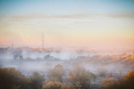 Misty forest and fog along the river Sozh, Gomel, Belarus on the sunrise morning in the autumnの写真素材