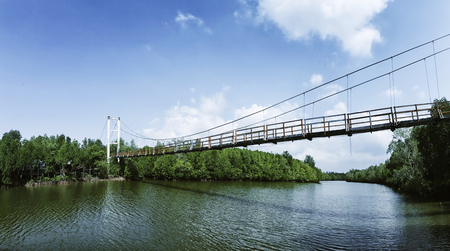 Thung Kha Bay Mangrove Forest. Wooden walkway suspension bridge in forest. Chumphon, Thailand For...
