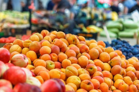 Large amount of raw eco Fresh apricot at market, closeup backgroundの写真素材