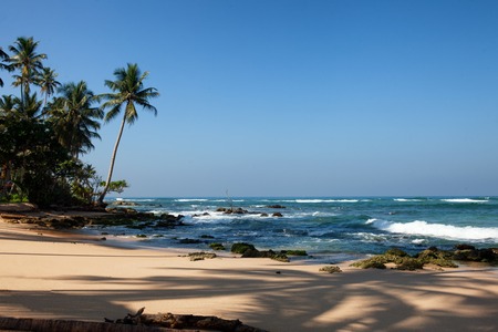 the beach near Ambalangoda, Sri Lanka, palm trees and rocksの写真素材