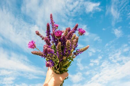 Closeup of woman's hand holding beautiful bouquet of summer garden flowers on the blue sky background. Bright bunch of flowers in hands. Happy. Flowers as a present.の写真素材